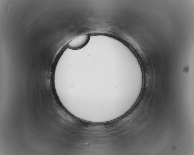 X0000100981260200807151407