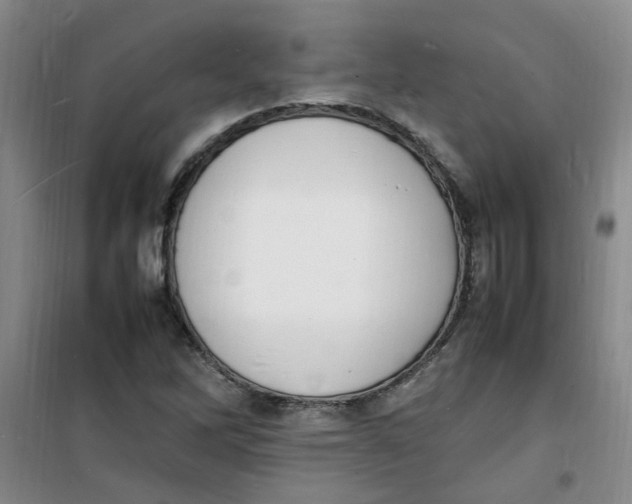 X0000100981262200807151407