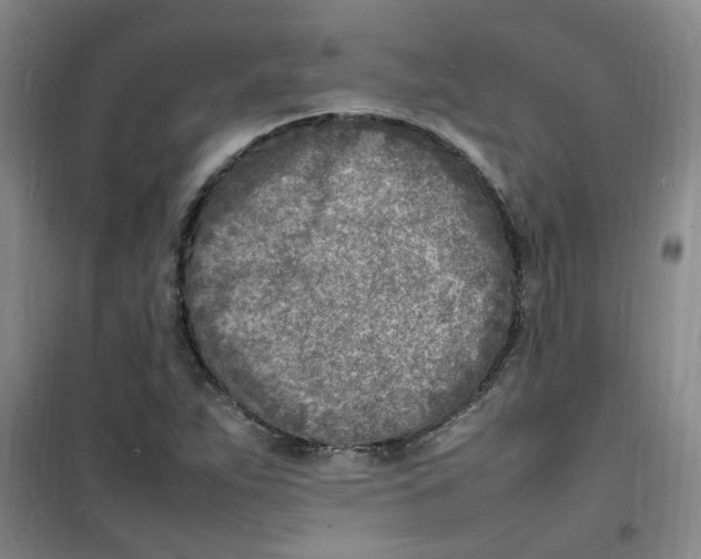 X0000100981263200807151407