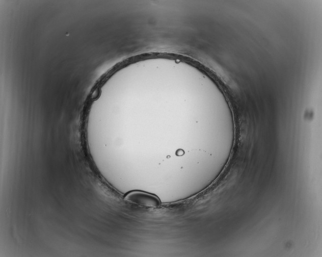 X0000100981264200807151407