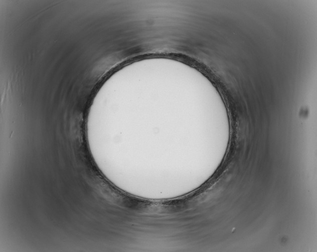 X0000100981265200807151407