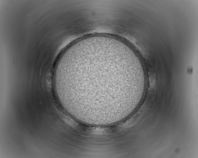 X0000100981266200807151407