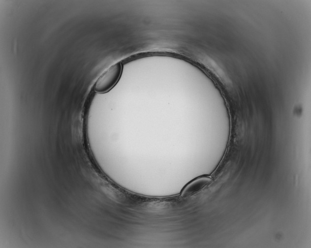 X0000100981268200807151407