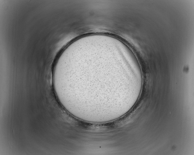 X0000100981269200807151407