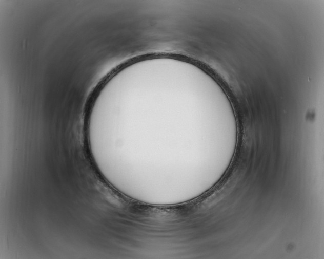 X0000100981270200807151407