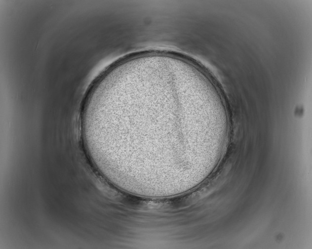 X0000100981271200807151407