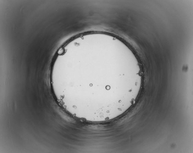 X0000100981272200807151407