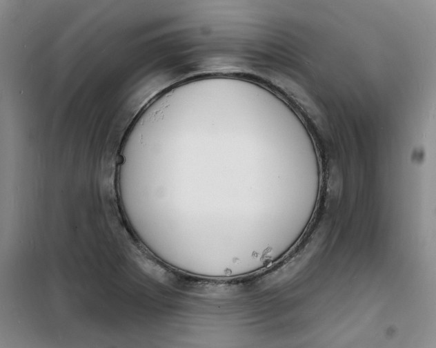 X0000100981273200807151407