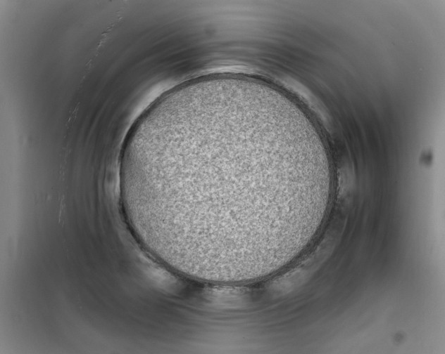 X0000100981274200807151407