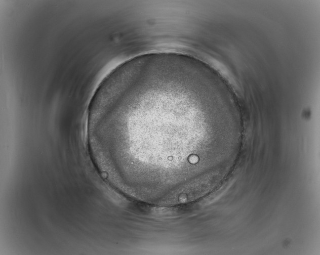 X0000100981275200807151407