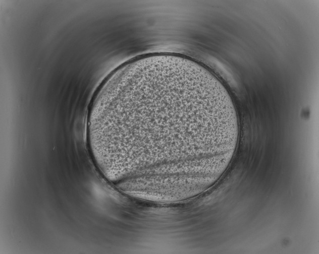 X0000100981276200807151407