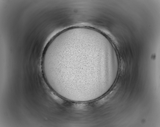 X0000100981278200807151407