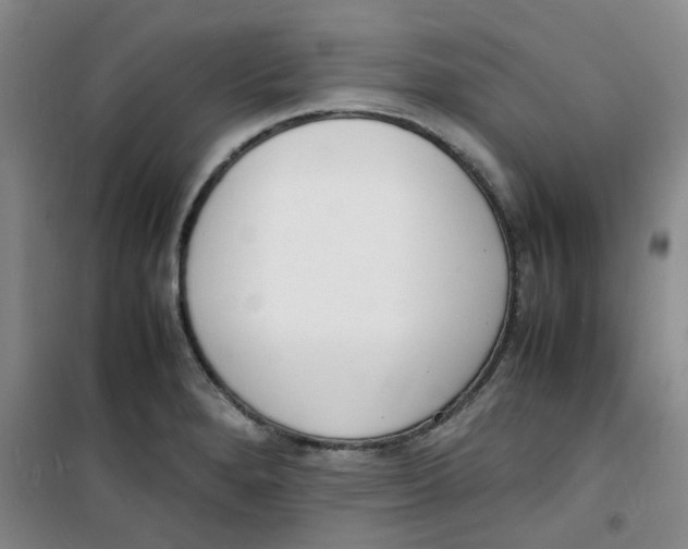 X0000100981280200807151407