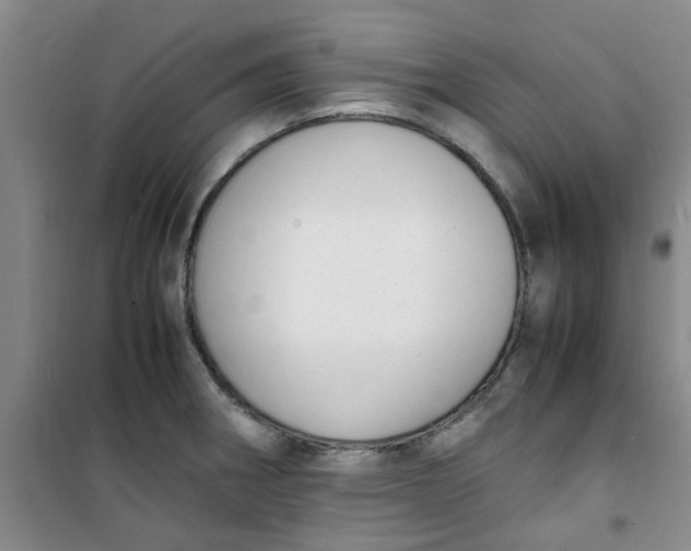 X0000100981282200807151407