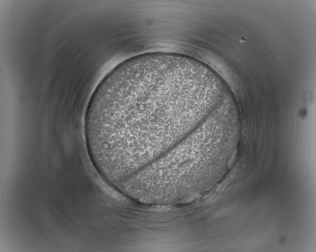 X0000100981283200807151407