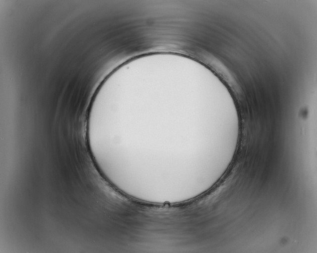 X0000100981284200807151406