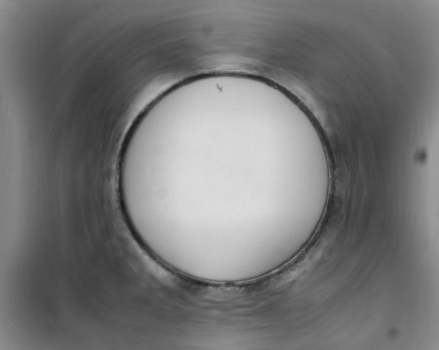 X0000100981285200807151406