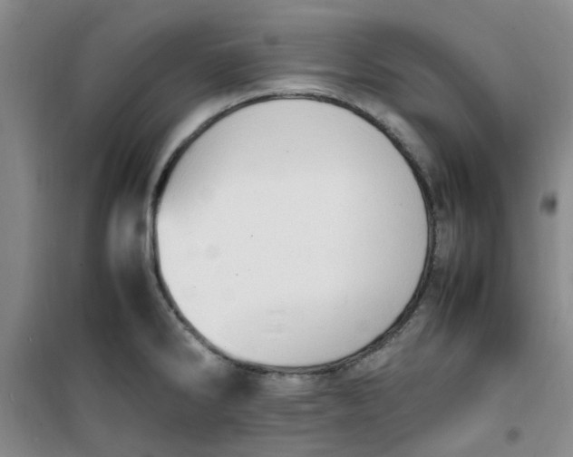 X0000100981286200807151406