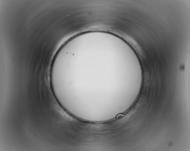 X0000100981288200807151406