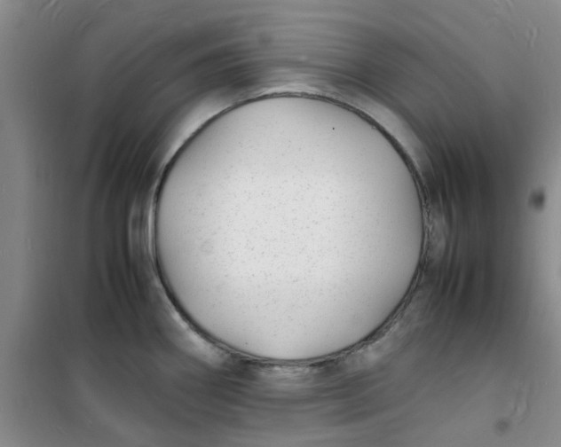 X0000100981290200807151406