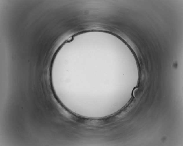 X0000100981293200807151406