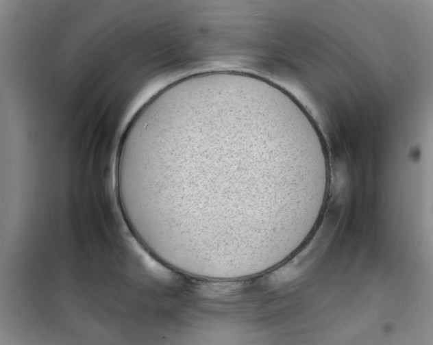 X0000100981294200807151406