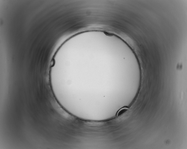 X0000100981296200807151406