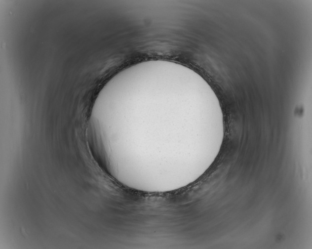 X0000100981297200807151406