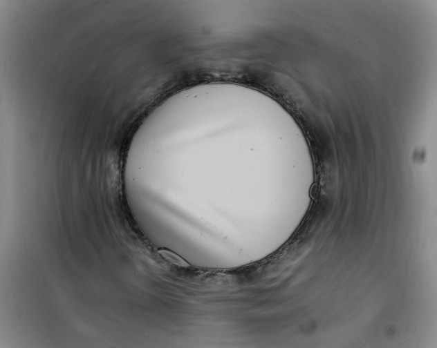 X0000100981298200807151406