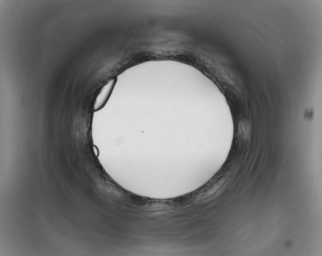 X0000100981300200807151406