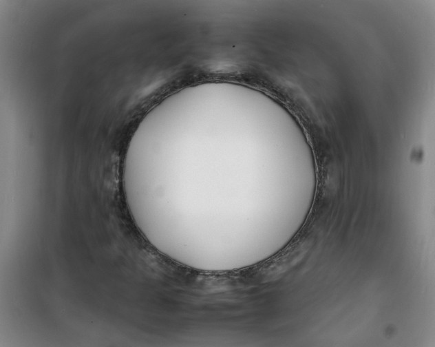 X0000100981301200807151406