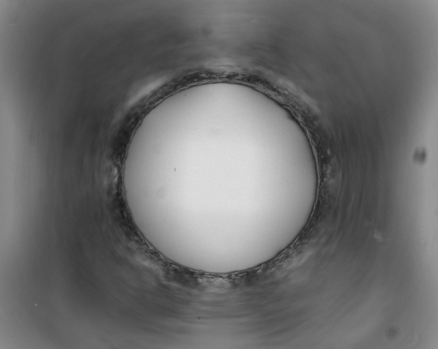 X0000100981302200807151406