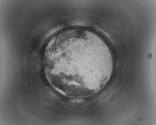 X0000100981303200807151406