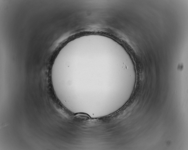 X0000100981304200807151406