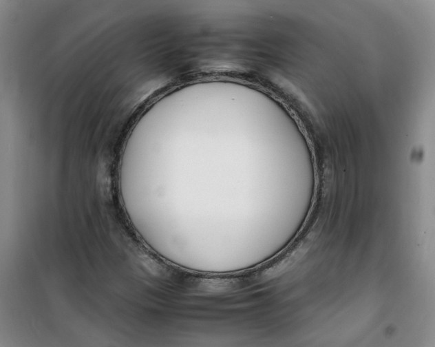 X0000100981305200807151406