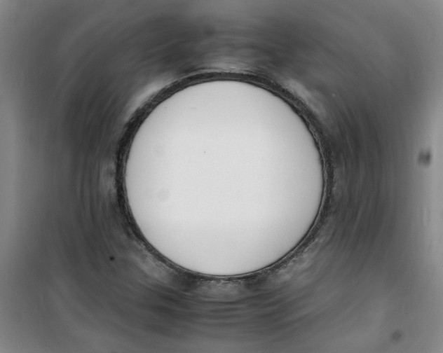 X0000100981307200807151406