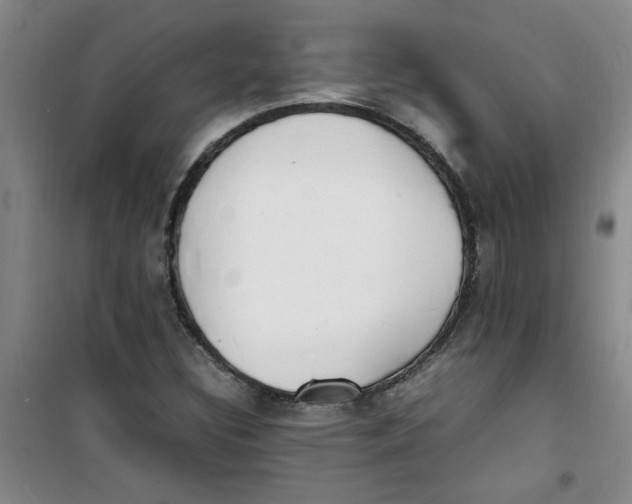 X0000100981308200807151406