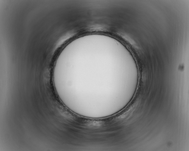 X0000100981309200807151406