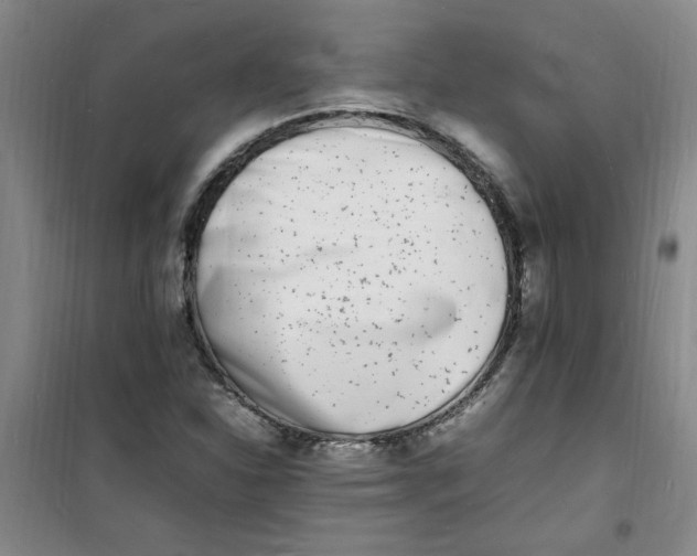 X0000100981310200807151406