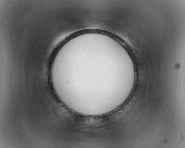 X0000100981311200807151406