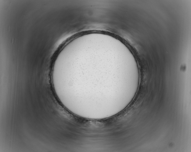 X0000100981312200807151406