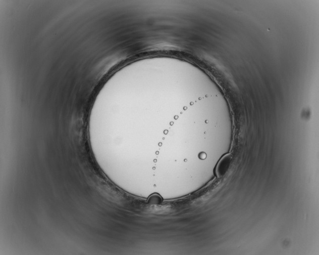 X0000100981313200807151406