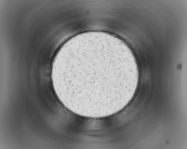 X0000100981314200807151406