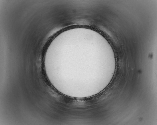 X0000100981315200807151406