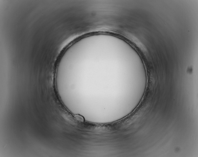 X0000100981316200807151406