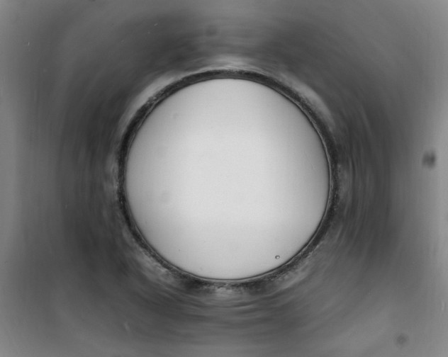 X0000100981318200807151406