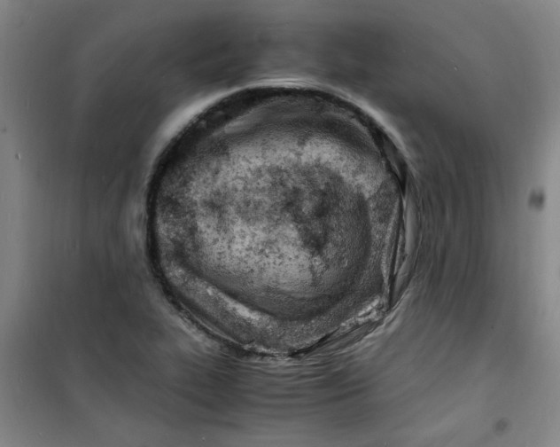 X0000100981319200807151406