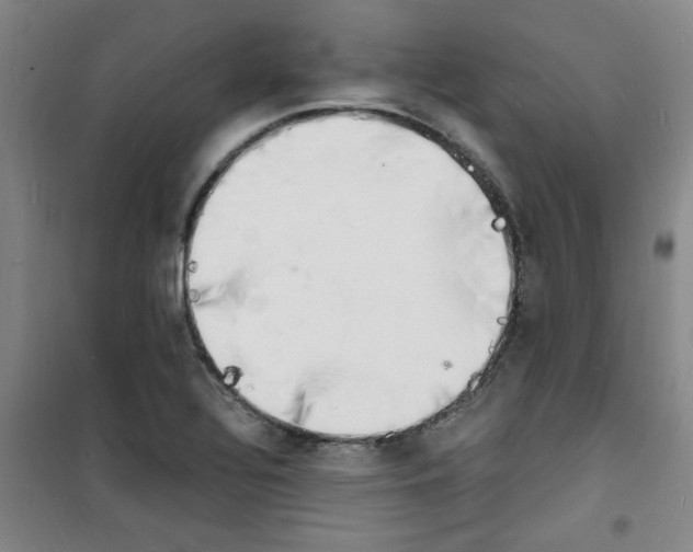 X0000100981320200807151406