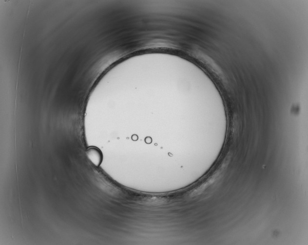 X0000100981321200807151406