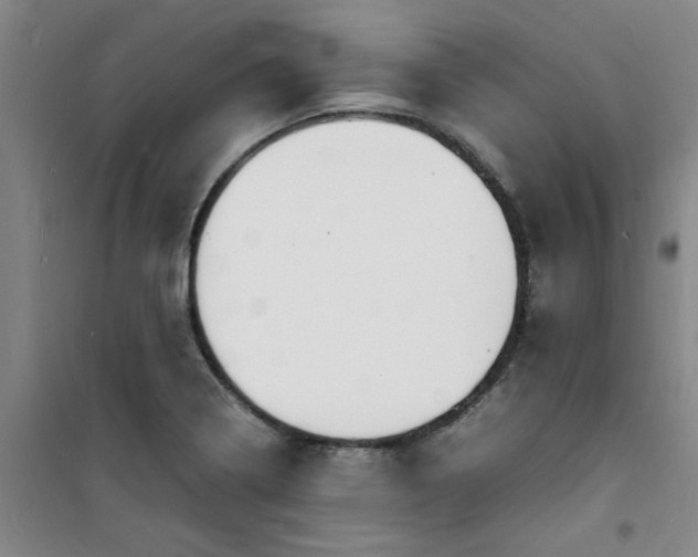 X0000100981322200807151406